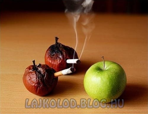 Dohányzás elleni fotó - Lájk