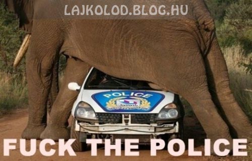 Elefánt vs. Rendőrség - Lájk