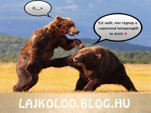 Medve csata párbeszéddel - Lájk